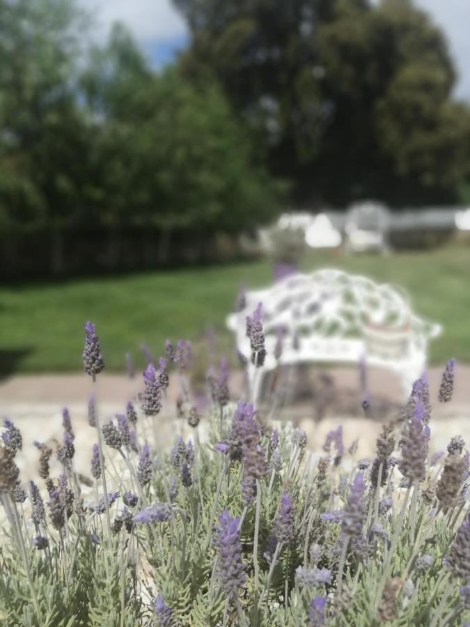Casona Del Duende Guest House อลาคาร์ ภายนอก รูปภาพ