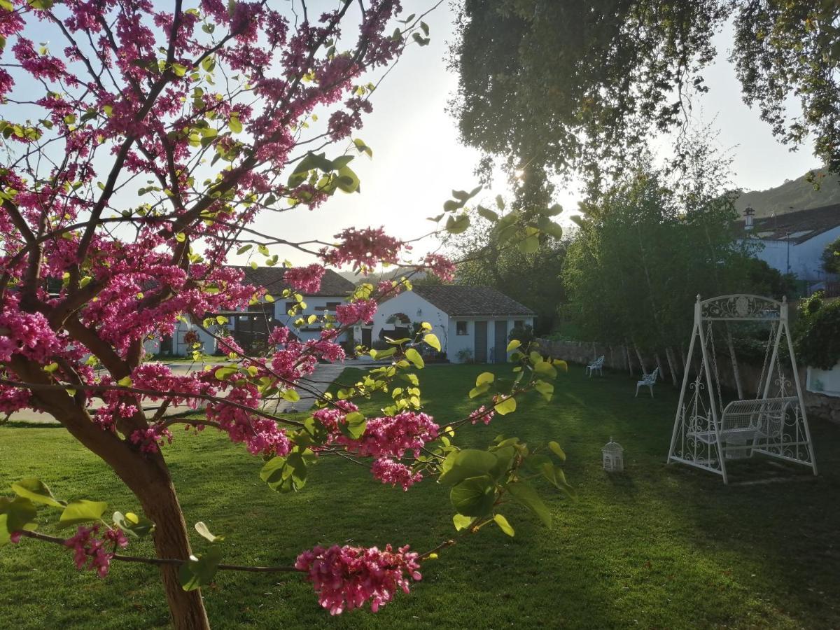 Casona Del Duende Guest House อลาคาร์ ภายนอก รูปภาพ