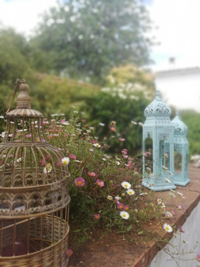 Casona Del Duende Guest House อลาคาร์ ภายนอก รูปภาพ