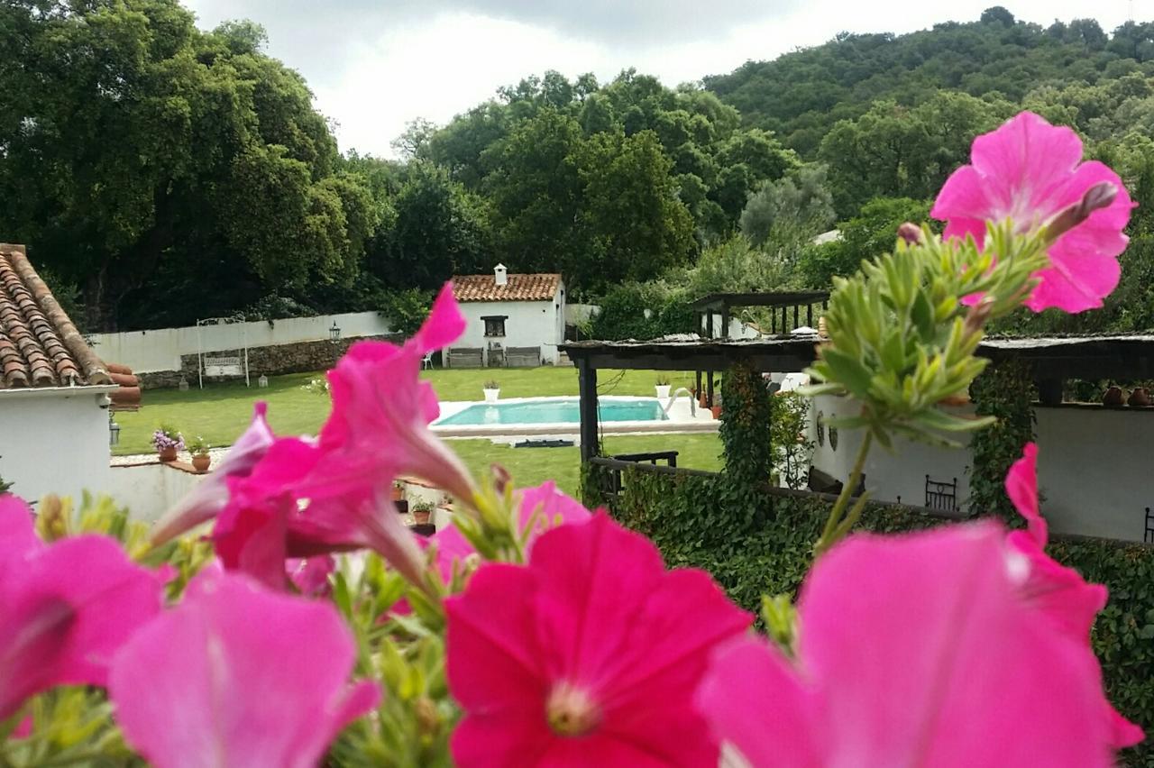 Casona Del Duende Guest House อลาคาร์ ภายนอก รูปภาพ